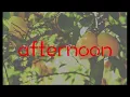 FMP394 NLE - Joanna Wang Lemon Tree Lyrics