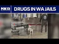 WA counties work to keep drugs out of jail FOX 13 Seattle