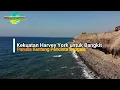 Kekuatan Harvey York untuk Bangkit BAB 1200