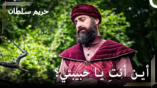 من العبودية للسلطنة 149 هرم ضائعة حريم السلطان 