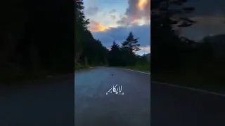 واللي هو مو قد الشوق لا يعشق ولا يهوى 