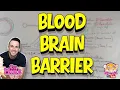 Blood Brain Barrier