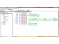 How to display Line Numbers in SQL Server