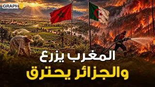 المغرب يحاصر الجفاف.. والجزائر تشتعل بالحرائق! كيف انقلب المشهد في المغرب العربي؟
