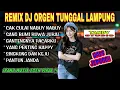 REMIX ORGEN TUNGGAL LAMPUNG TANDY STUDIO❗DJ SLOW BASS EGEN❗Cak culay nabuy, Sang bumi ruwa jurai