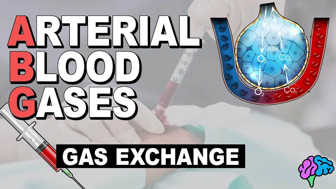 Blood Gases and Gas Exchange | Arterial Blood Gases (Part 2)