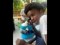 Mississippi Delta Nature and Learning Center Awarded 10 000 STEM Grant to Expand Science Education