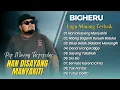 Download Lagu BIGHERU - NAN DISAYANG MANYAKITI | HILANG BAGANTI BURUAK BATUKA || LAGU MINANG TERPOPULER 2025