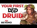 How to Build Your First Druid in Dungeons Dragons D D Beyond