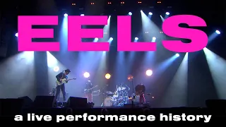 Download 25 YEARS OF EELS LIVE IN 8 MINUTES MP3