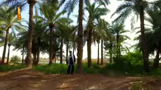 آهنگ شاد بندری دال عدس با صدای زنده یاد محمود جهان Bandari Abadan 