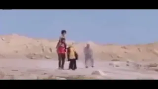                               دندنها