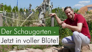 BuGa 23 - im Natur-Entdeckergarten summt's und brummt's