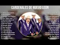 Cardenales De Nuevo León 2024 MIX Nuevas Canciones - Belleza De Cantina, Mi Cómplice, Compré Una...