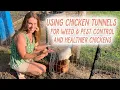 Our Chicken Tunnels Coop and Run Setup around the Garden
