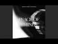 Download Lagu Martin Garrix \u0026 Citadelle - Peace Of Mind (Extended Mix)