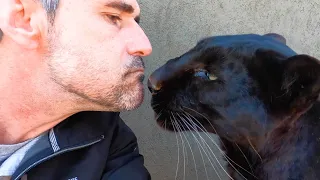 Emotional Last Video for Special BLACK LEOPARD | The Lion Whisperer