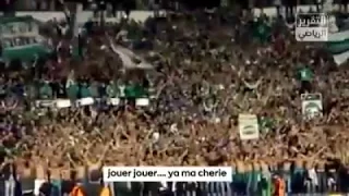 جمهور الرجاء البيضاوي يغني للجزائر حنا خاوة ماشي عداوة 