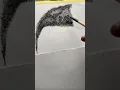 How to draw realistic short male hair