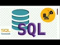 Introduction to structured query language SQL DDL DML DCL TCL L-2 DBMS 11th IT