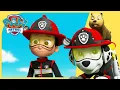 Download Lagu Marshall Puts Out a Fires +MORE 🔥 | PAW Patrol | Cartoons for Kids