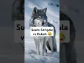 Download Lagu Suara Serigala vs Suara Rubah bikin ketawa 🤣 #shortvideo #faktakucing #soundanimals