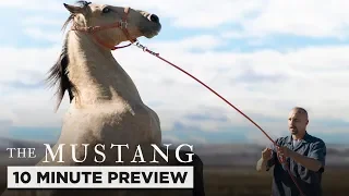 the mustang 10 minute preview film clip own it now on blu ray dvd u0026 digital