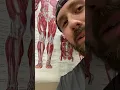 If You Saw Someone s Leg Off Massage Joke