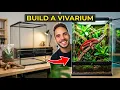 Gargoyle Gecko Setup for Beginners Full Build