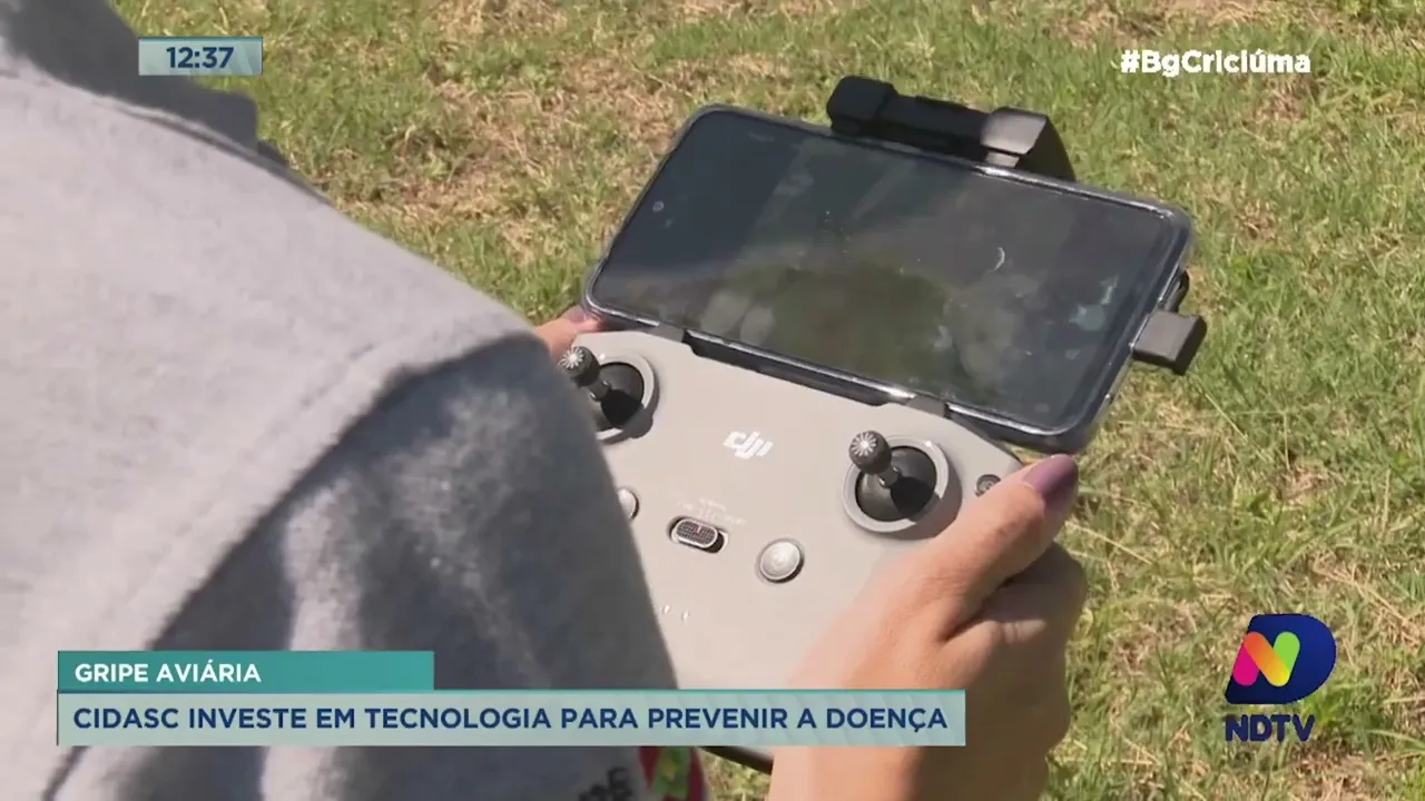 Cidasc investe em tecnologia para prevenir a gripe aviária no Sul do estado
