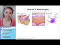 Melanocytes 1 - Introduction