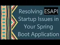 Resolving ESAPI Startup Issues in Your Spring Boot Application