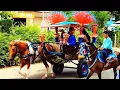 Download Lagu Naik delman istimewa~lagu anak populer Indonesia~lagu anak balita~kuda tunggang.