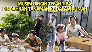 DAPAT KIRIMAN PAKET DARI INDONESIA DAN MEMINDAKAN TANAMAN KEDALAM RUMAH 