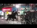 Video di Keanu Reeves Does His Own Crazy Stunts for 'John Wick 3' as Stunt Double Watches