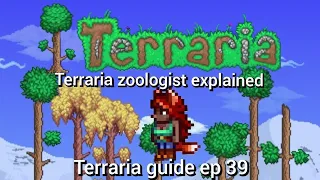 terraria zoologist explained terraria guide ep 39