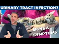 How to Tell if Your Cat Has a Bladder Infection - 5 Signs of UTI Dr Sean McPeck DVM