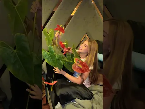 La vecina me atrapó robándome sus flores. 🥲