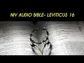 LEVITICUS 16 NIV BIBLE with text