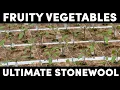 Download Lagu Ultimate Stone Wool line