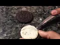 Let s make a Oreo moon phase project
