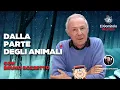Lagu Dalla parte degli animali | con Bruno Bozzetto | Il Gomitolo Atomico #34