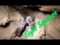 Exploring Critter Cave In N J Historic Rock Quarry
