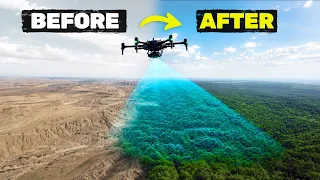 We Finally Fixed Tree Planting