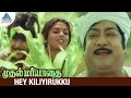 Download Lagu Muthal Mariyathai Tamil Movie Songs | Hey Kiliyirukku Video Song | Sivaji Ganesan | Ilayaraja