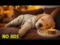 12 HOURS Calming Dog Music Calming Melodies for Anxious Dogs Soothing Sounds No Ads