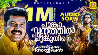  poongavanathill padum poonkuyile kalabavan mani ayyappan audio