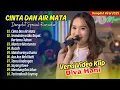 Download Lagu Diva Hani - CINTA DAN AIR MATA - SEANDAINYA AKU DAPAT BERTEMU TUHAN || ALBUM DANGDUT TERBARU 2025