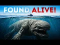 Extinct Dinosaur Fish Found in Africa - It Shouldn t Exist