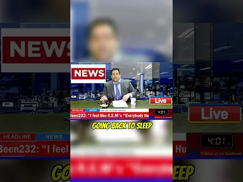 Breaking news: absolutely nothing is happening
